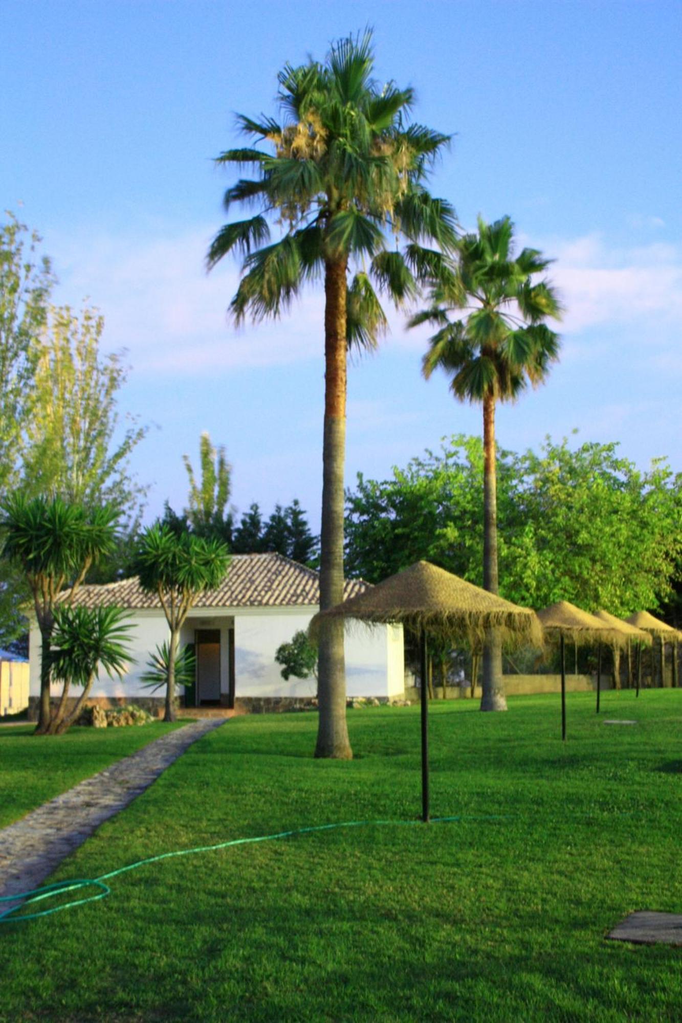 Camping Sierra De Las Nieves Yunquera Kültér fotó